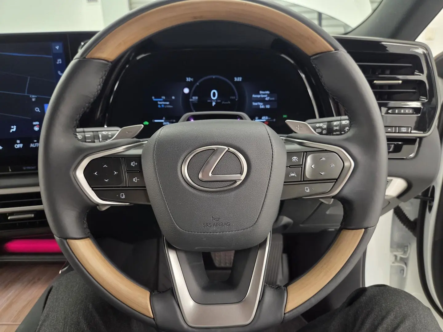 2025 Lexus RX Gallery Image 22