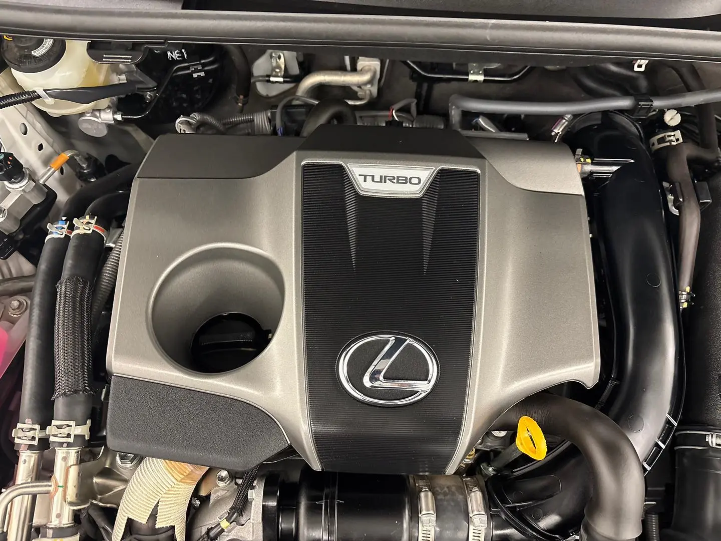 2021 Lexus NX Gallery Image 16
