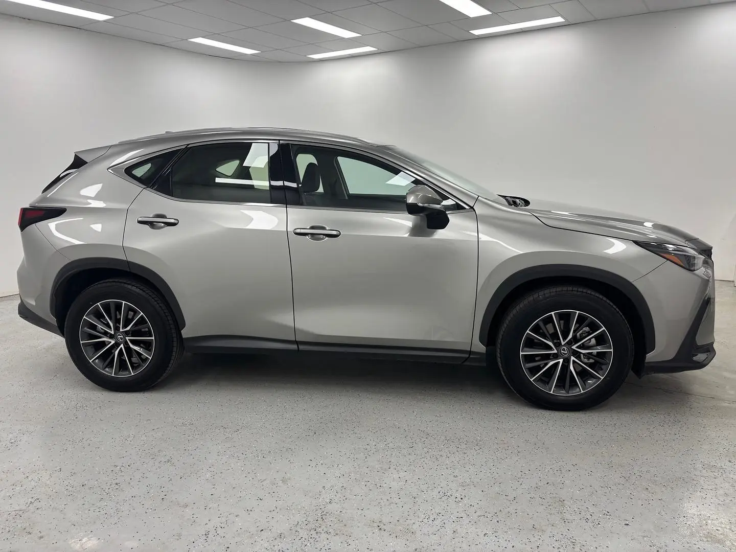 2025 Lexus NX Gallery Image 2