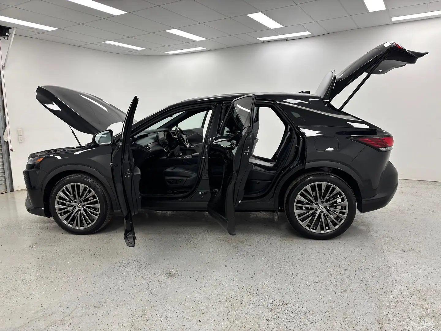 2024 Lexus RX Gallery Image 13