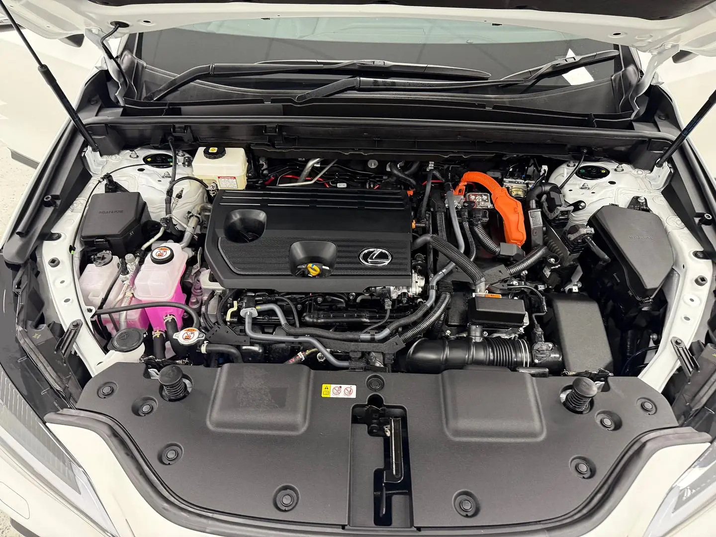 2025 Lexus NX Gallery Image 20