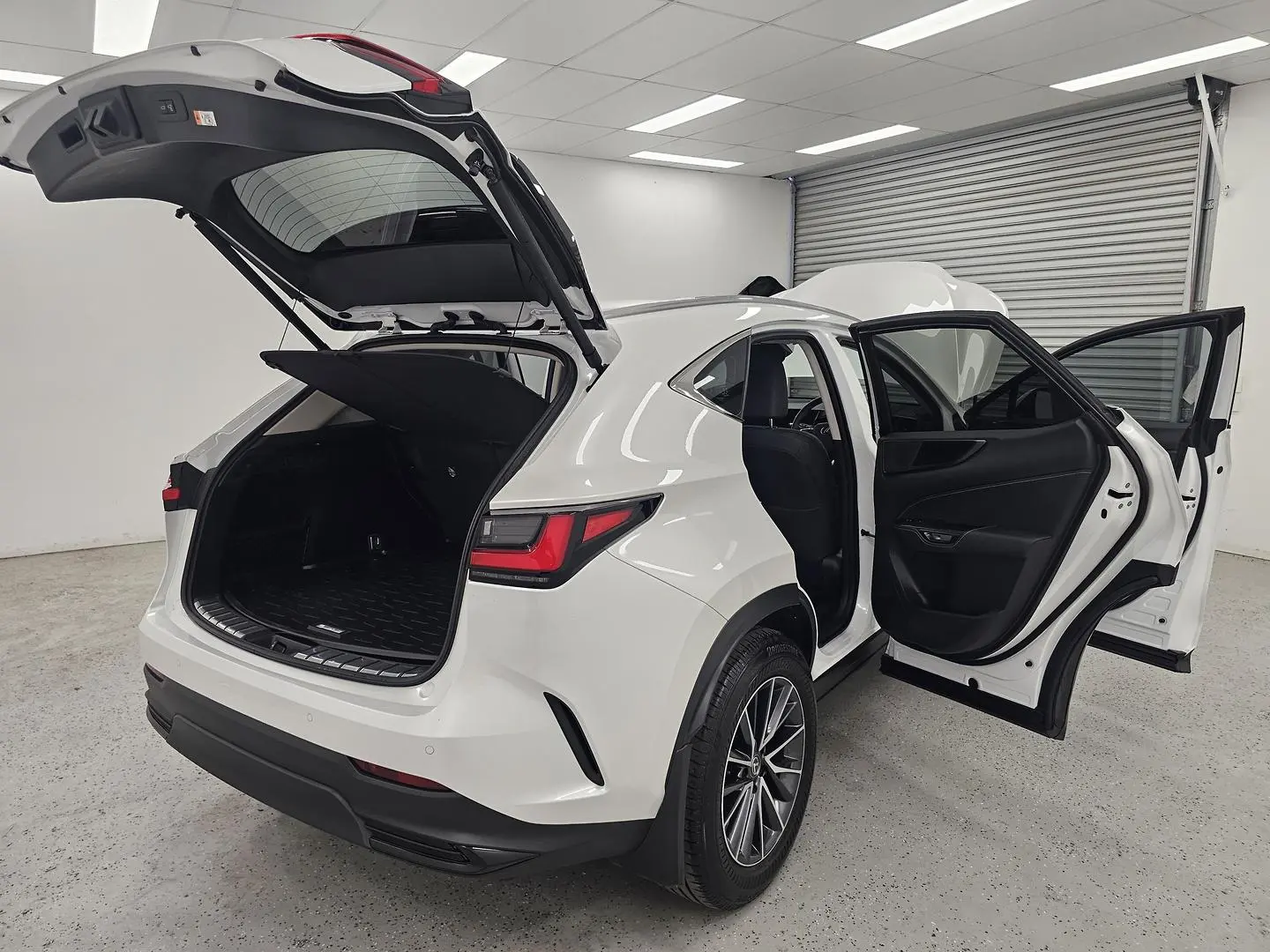 2025 Lexus NX Gallery Image 19