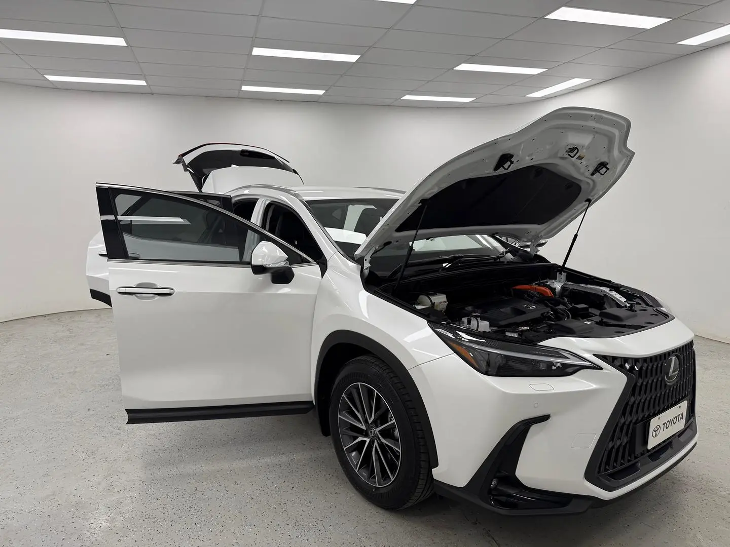 2025 Lexus NX Gallery Image 18