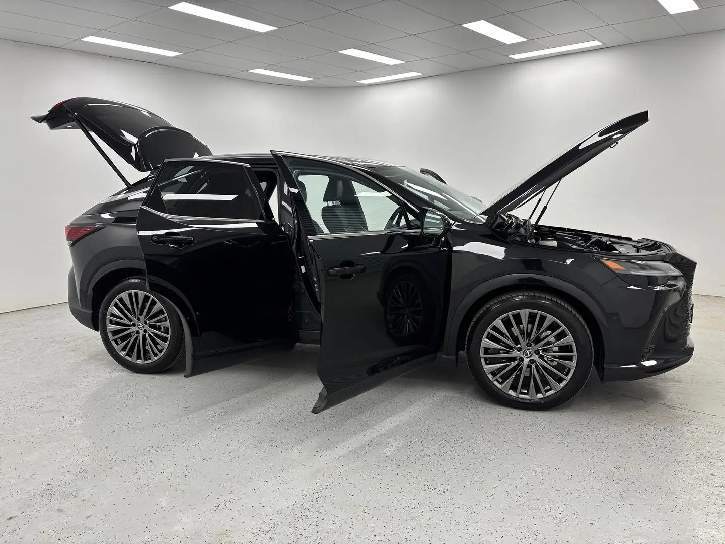 2024 Lexus RX Gallery Image 9