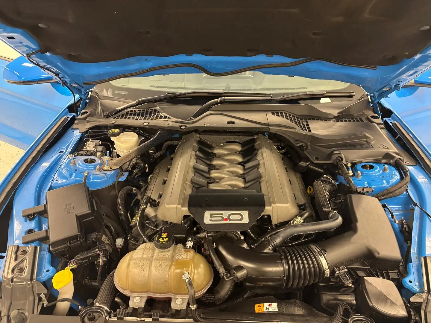 2017 Ford Mustang Gallery Image 15