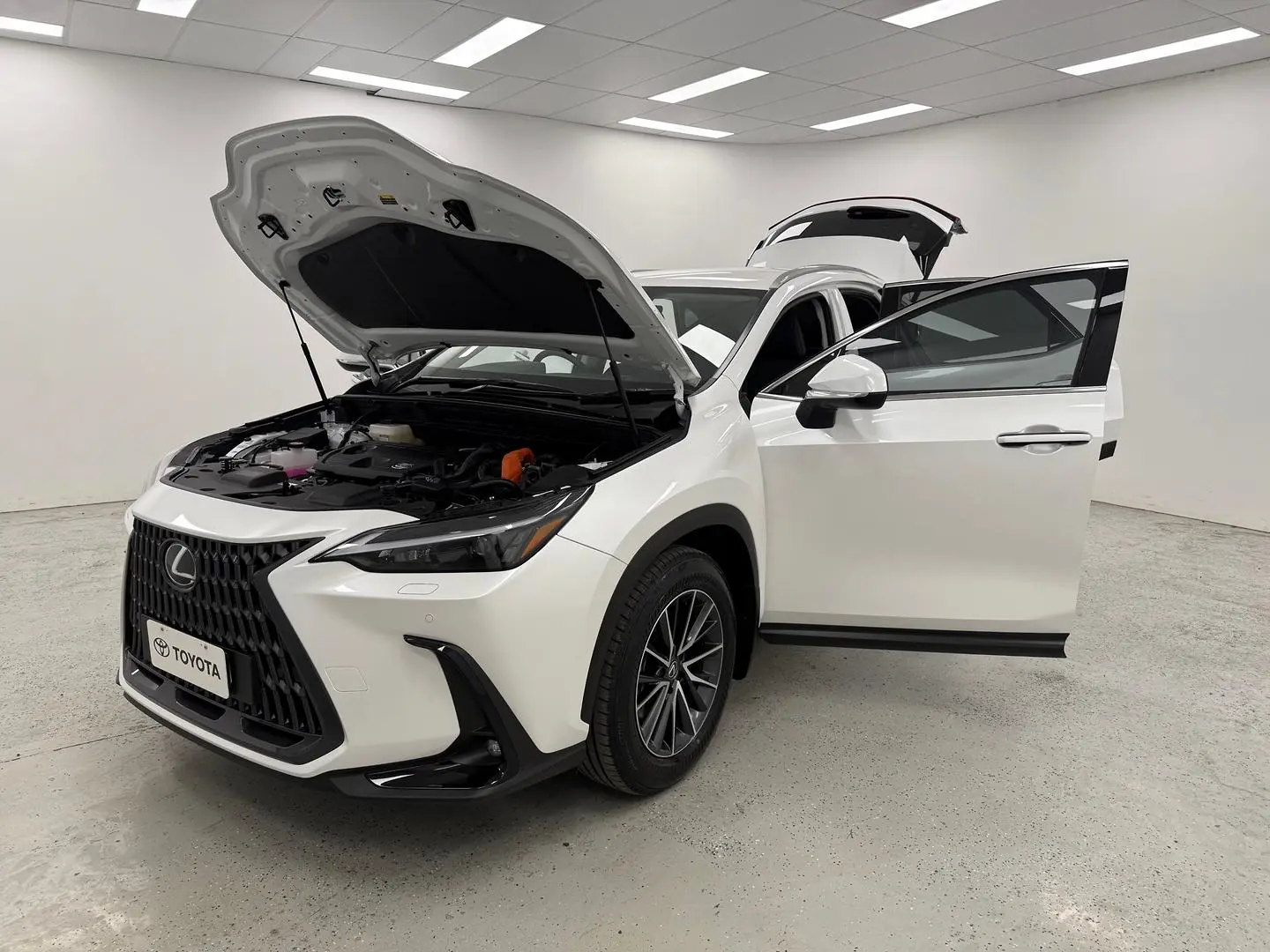 2025 Lexus NX Gallery Image 8