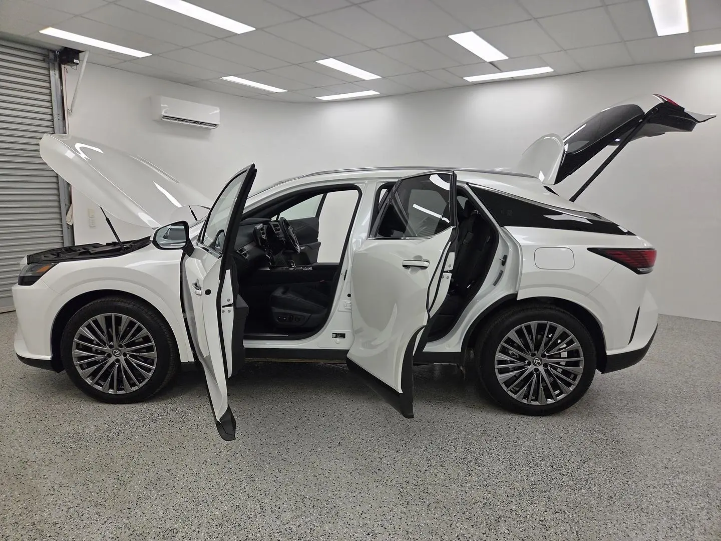 2025 Lexus RX Gallery Image 19