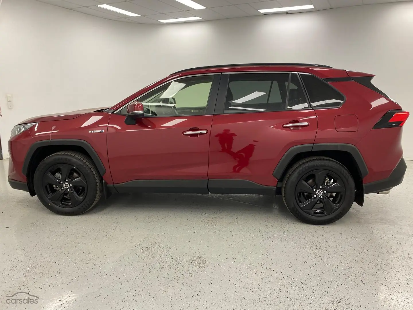 2019 Toyota RAV4 Image 6