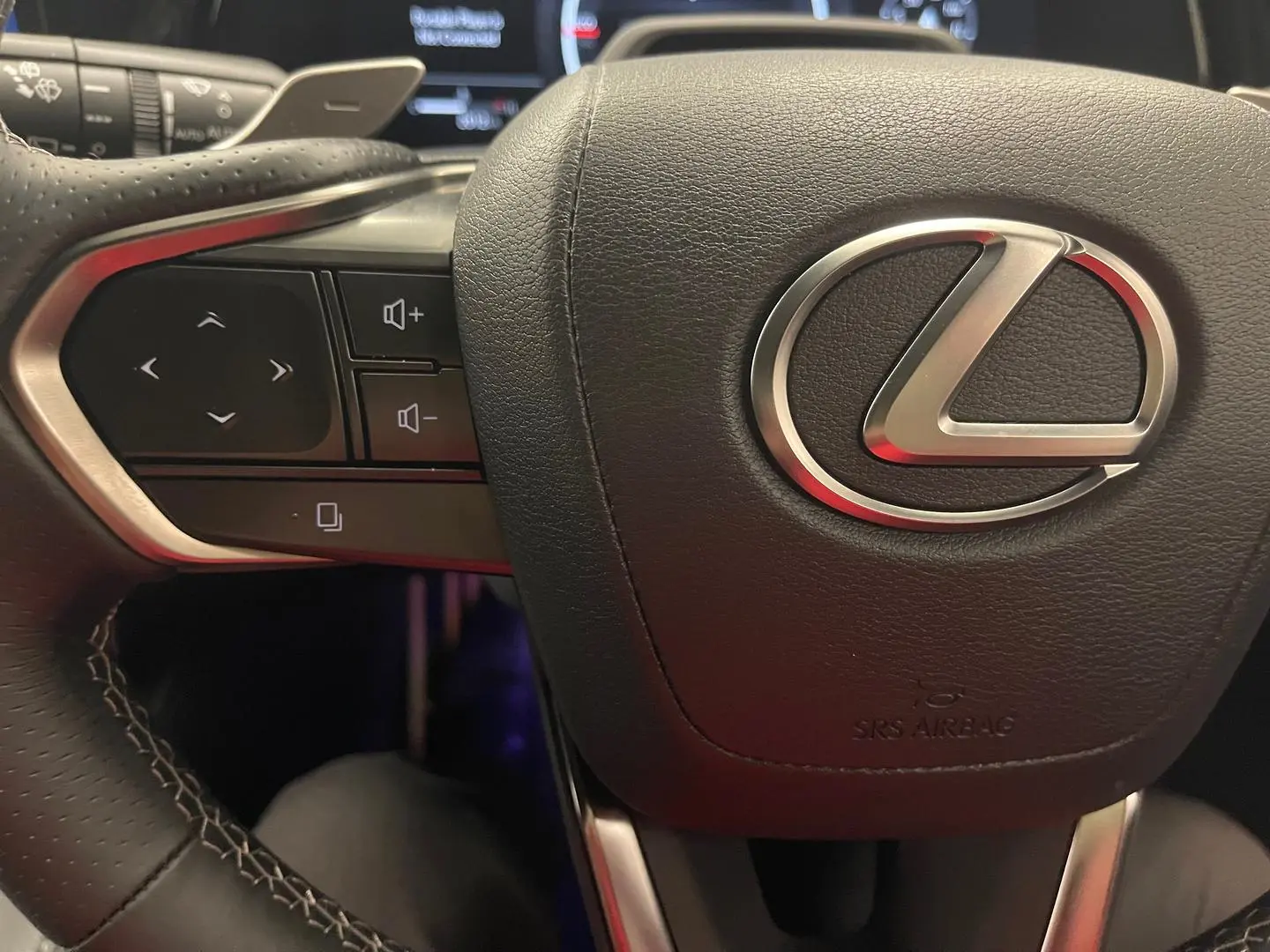 2025 Lexus RX Gallery Image 33