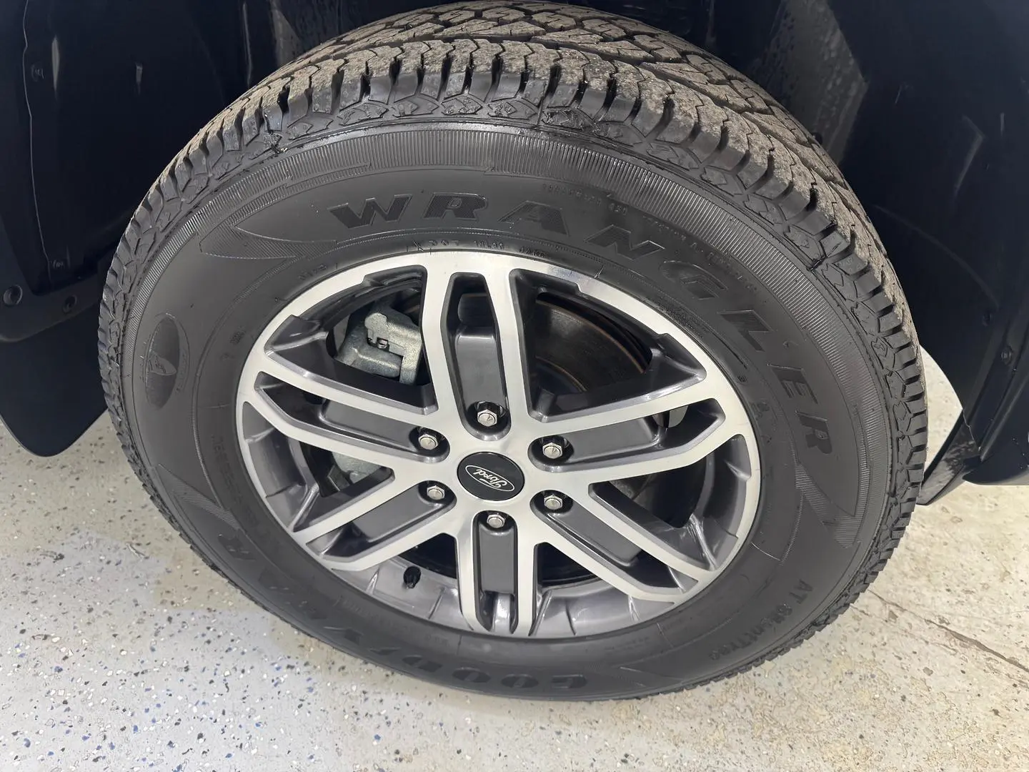 2023 Ford Everest Gallery Image 15