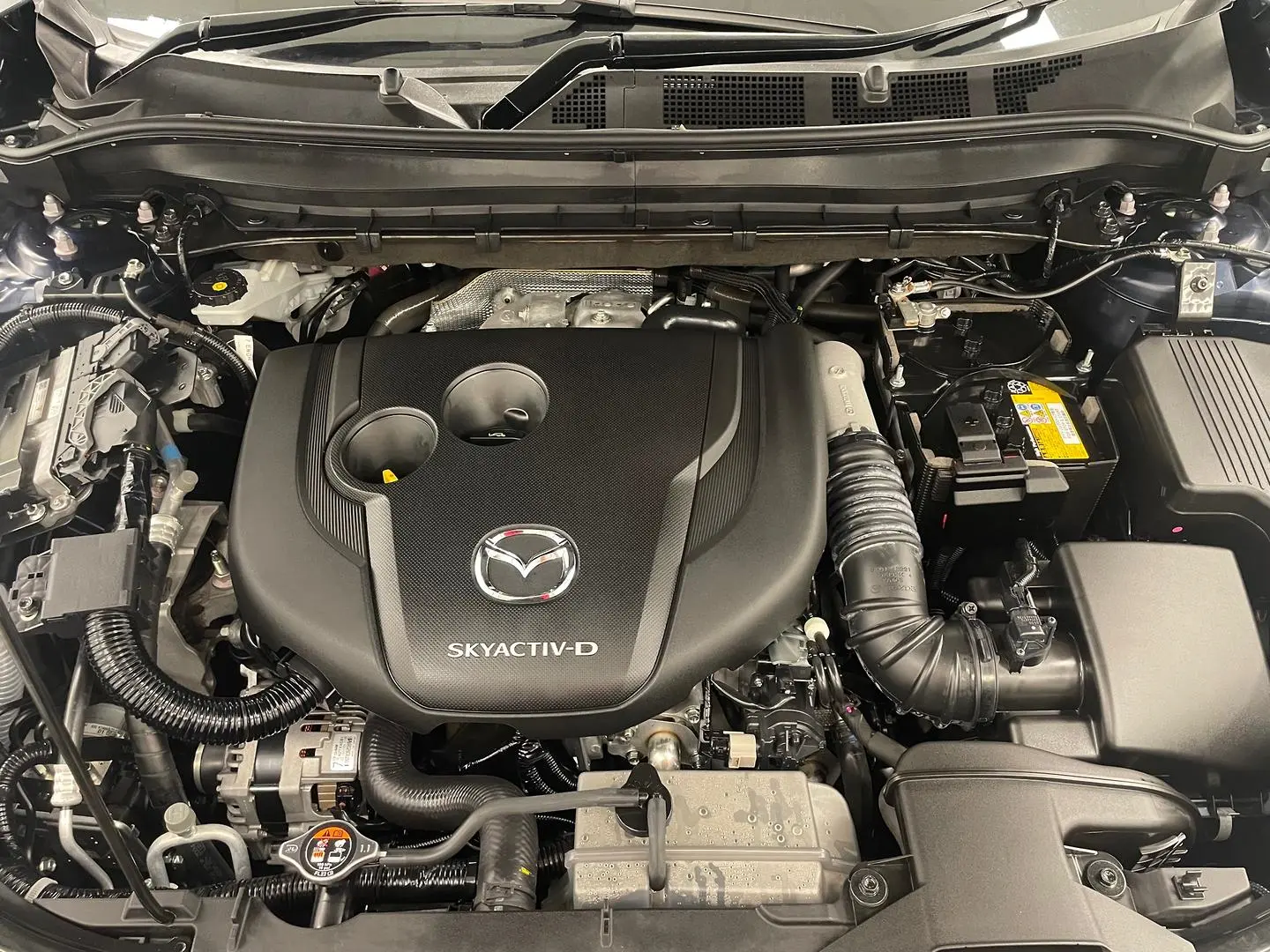 2020 Mazda CX-8 Gallery Image 17