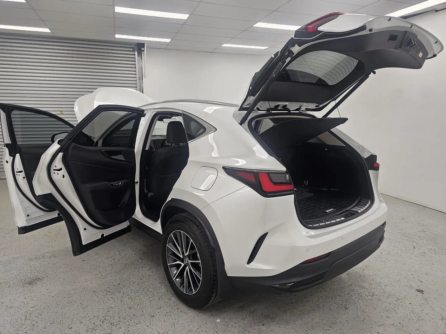 2025 Lexus NX Gallery Image 16