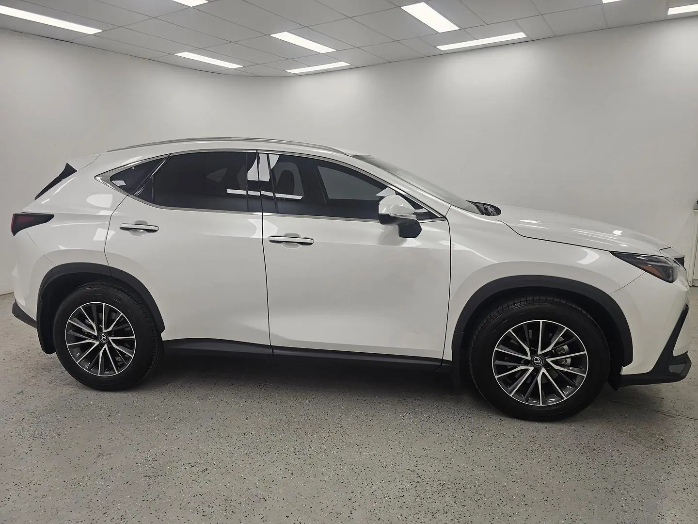 2025 Lexus NX Gallery Image 2