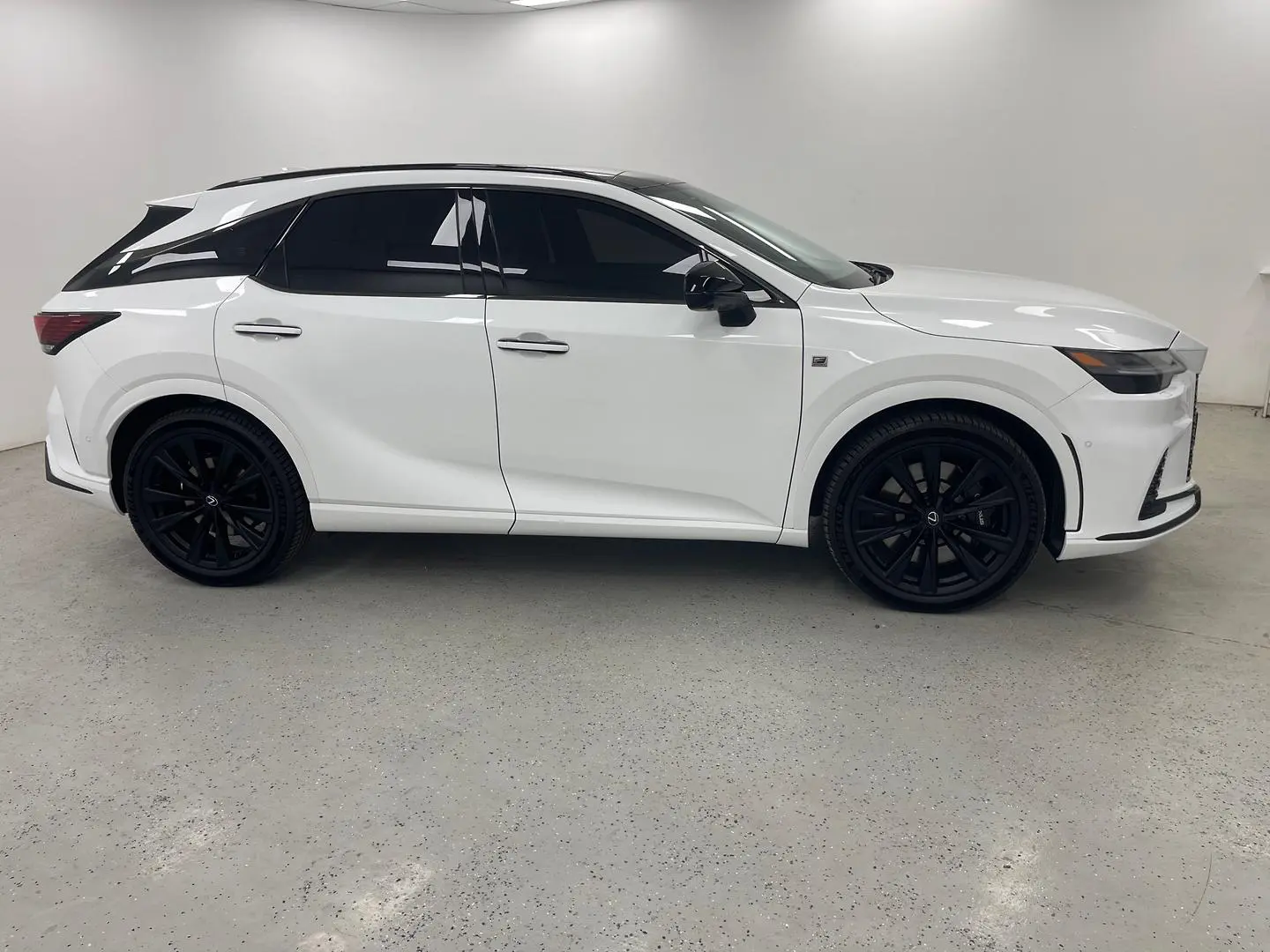 2025 Lexus RX Gallery Image 2