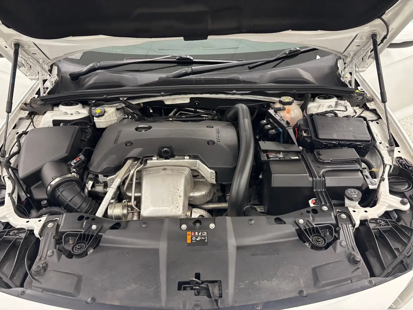 2018 Holden Commodore Gallery Image 15