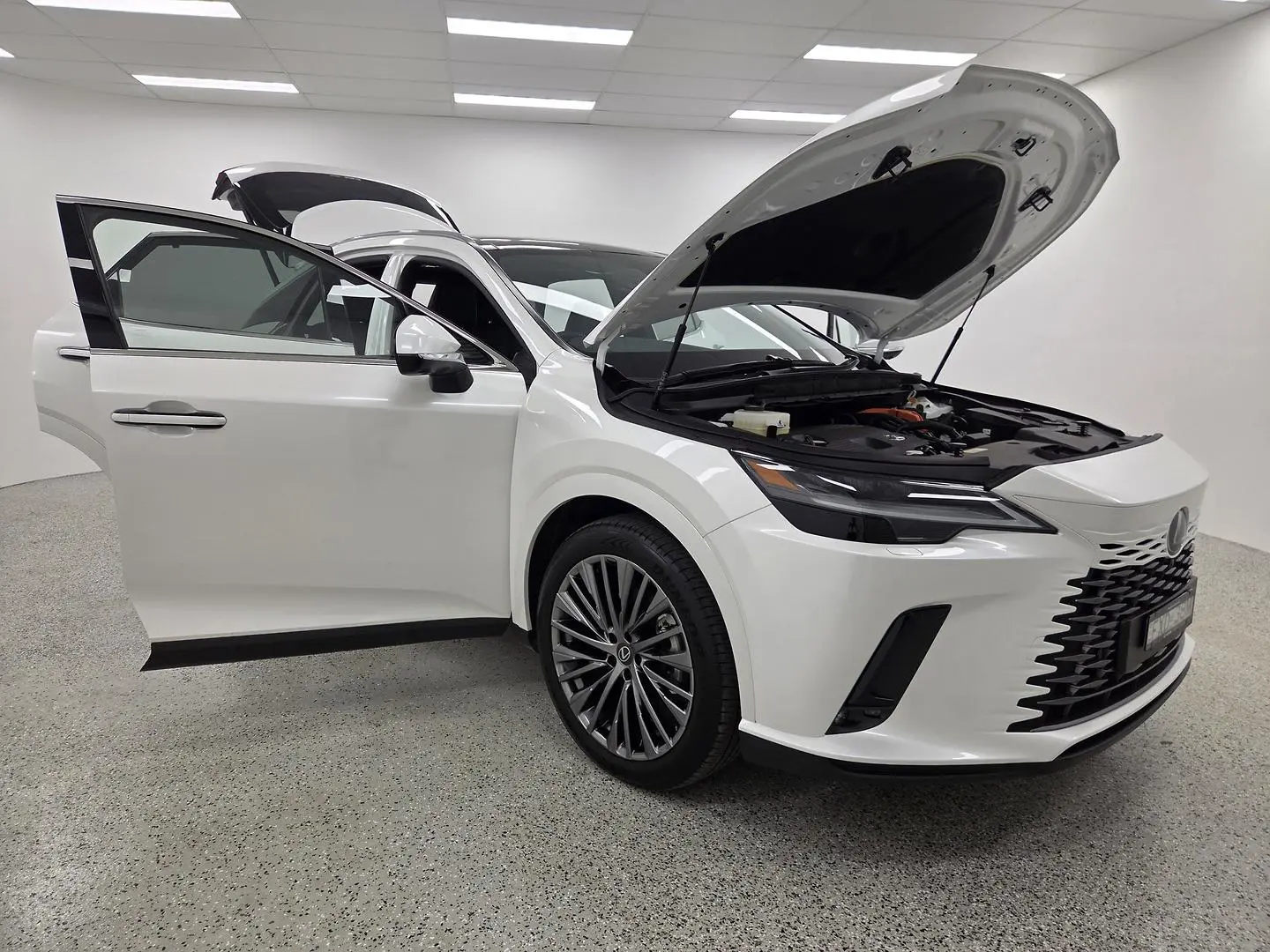 2025 Lexus RX Gallery Image 12