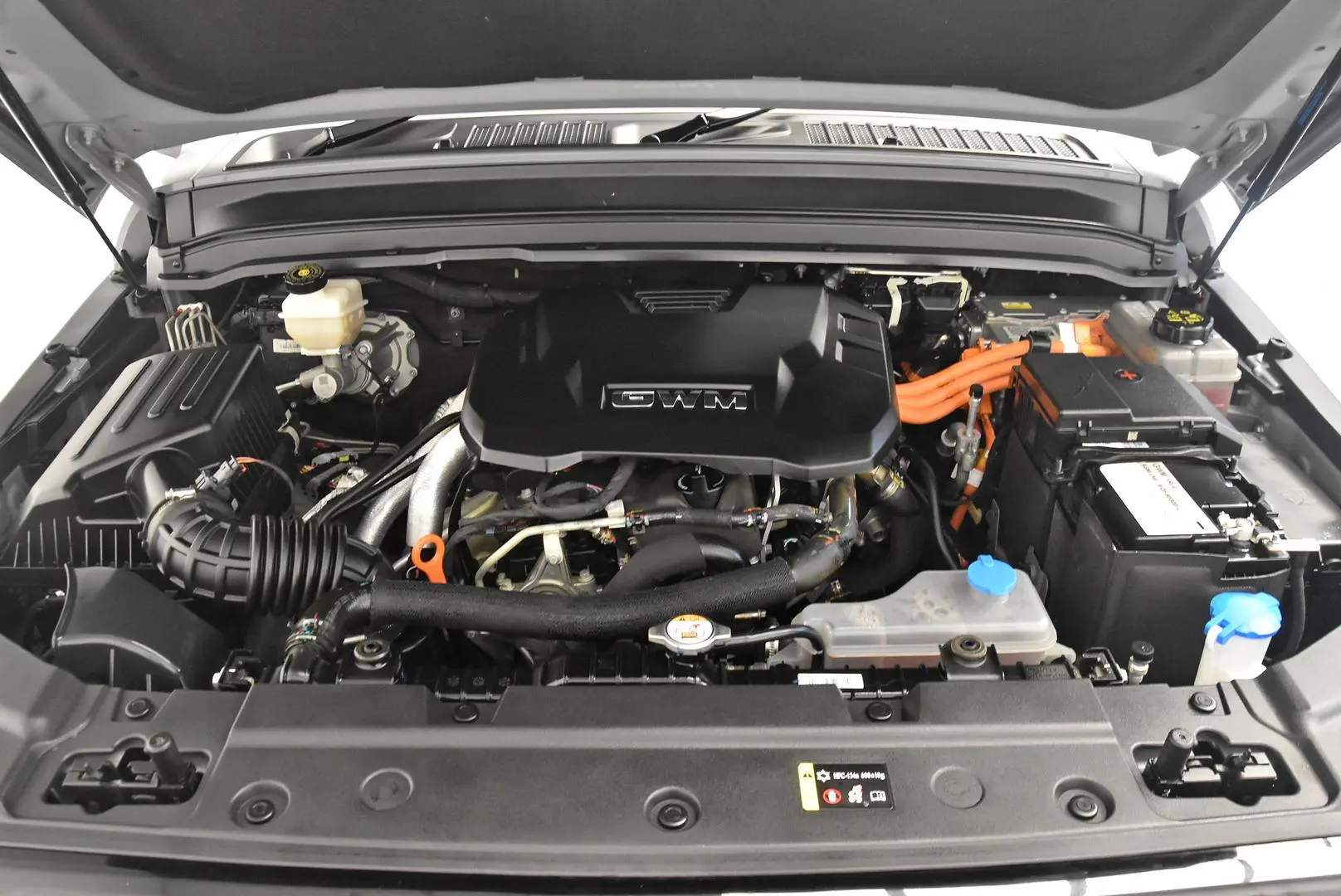 2023 GWM Tank 300 Gallery Image 23