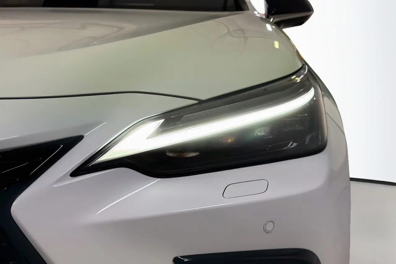 2025 Lexus NX Gallery Image 3