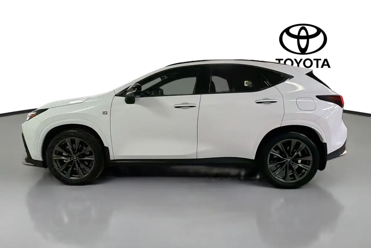 2025 Lexus NX Gallery Image 5