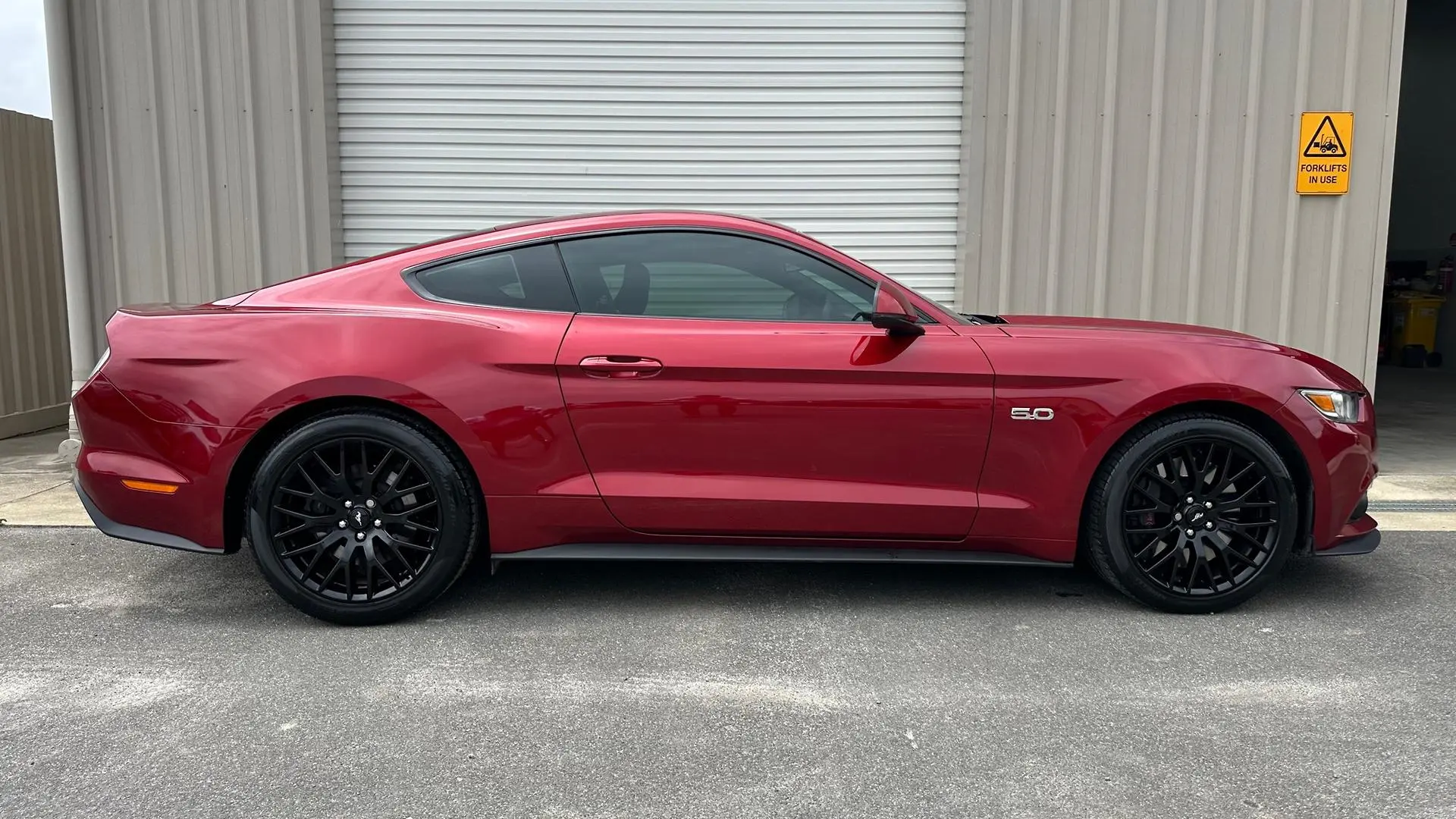 2017 Ford Mustang Gallery Image 6