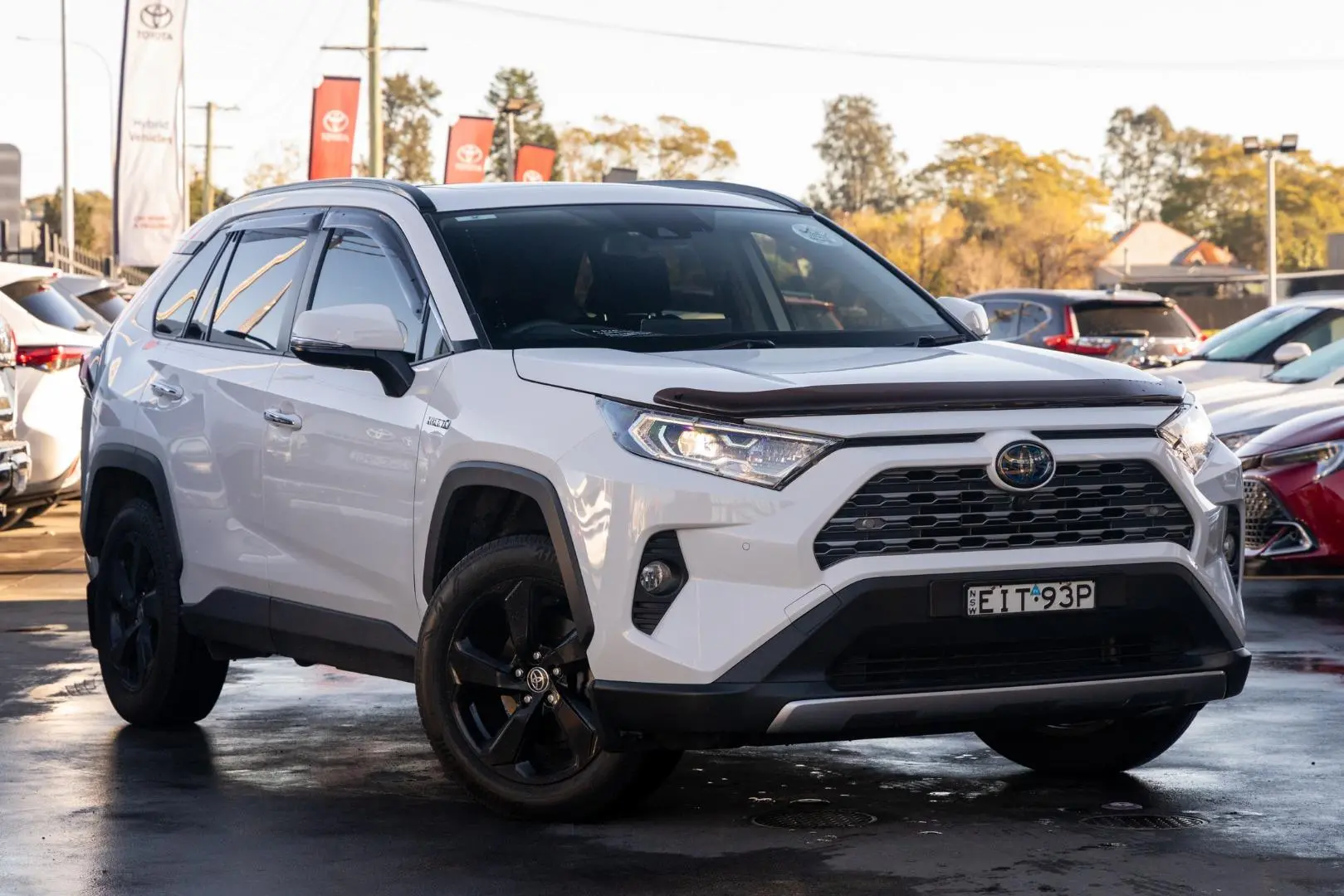 2020 Toyota RAV4 Image