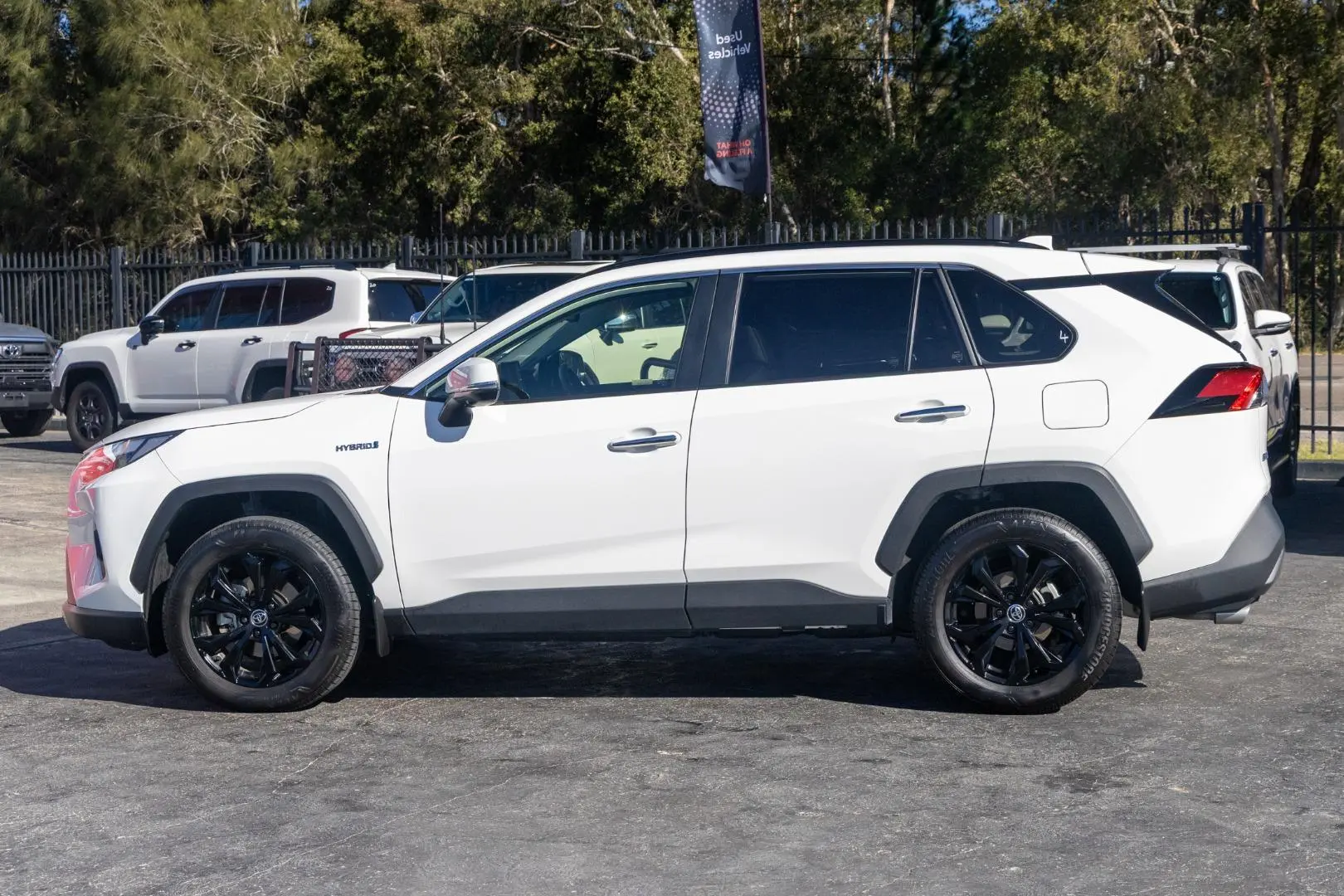 2024 Toyota RAV4 Gallery Image 3