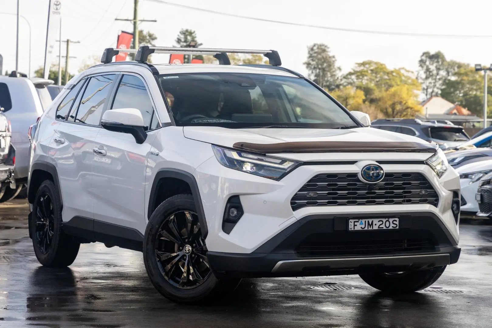 2024 Toyota RAV4 Image