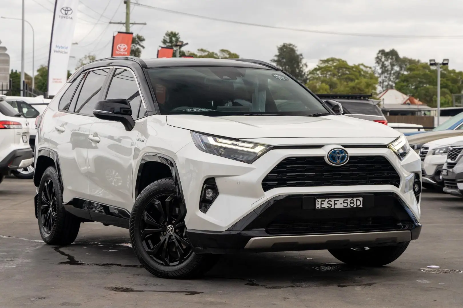 2022 Toyota RAV4 Image