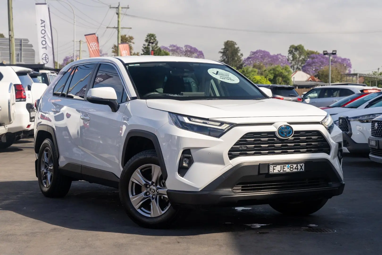 2024 Toyota RAV4 Gallery Image 1