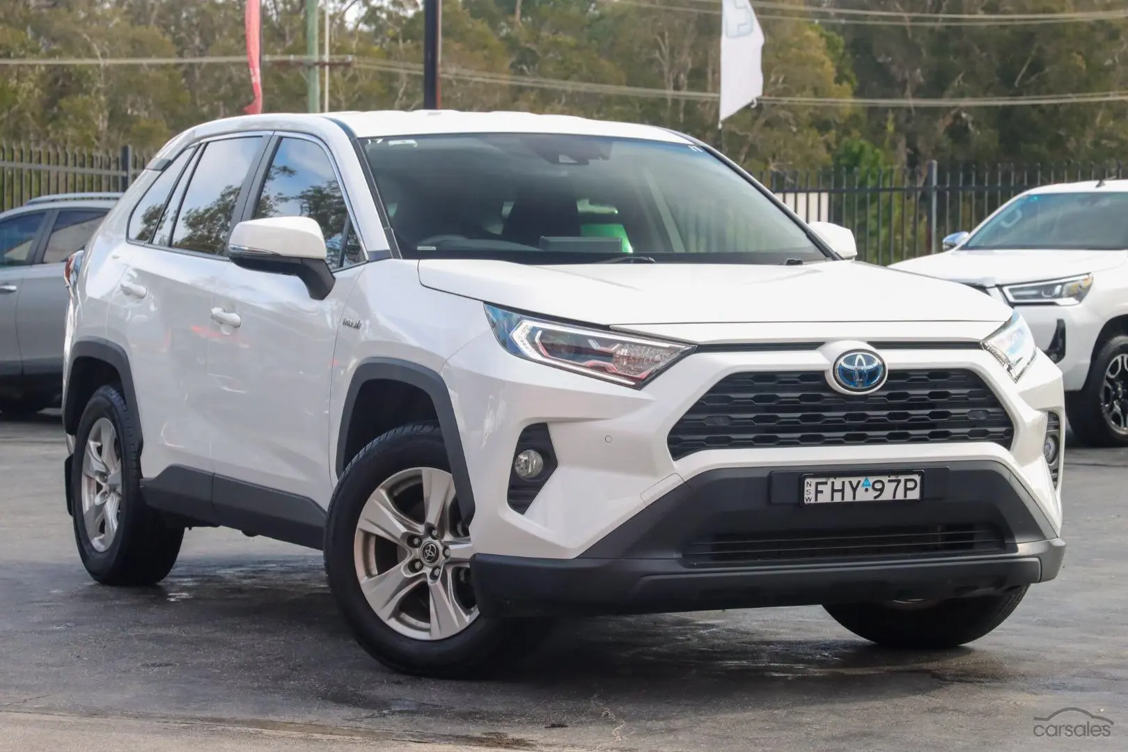 2019 Toyota RAV4 Image 1