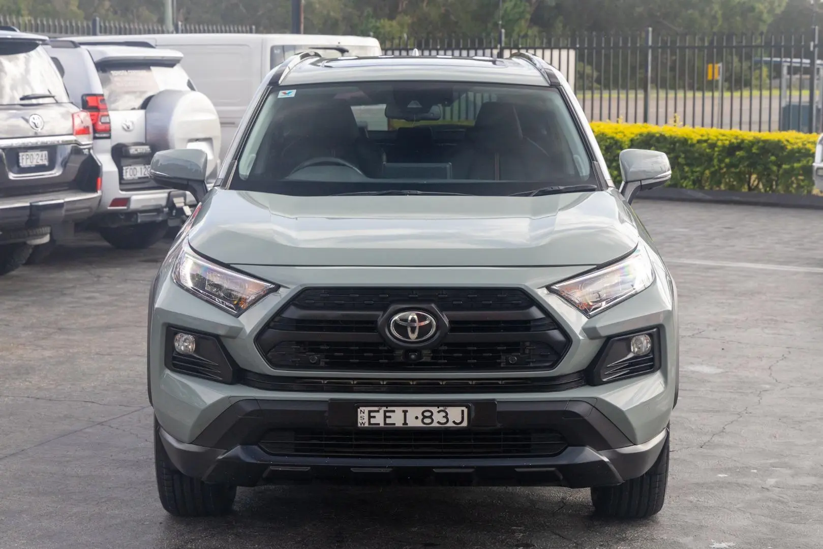 2019 Toyota RAV4 Gallery Image 4