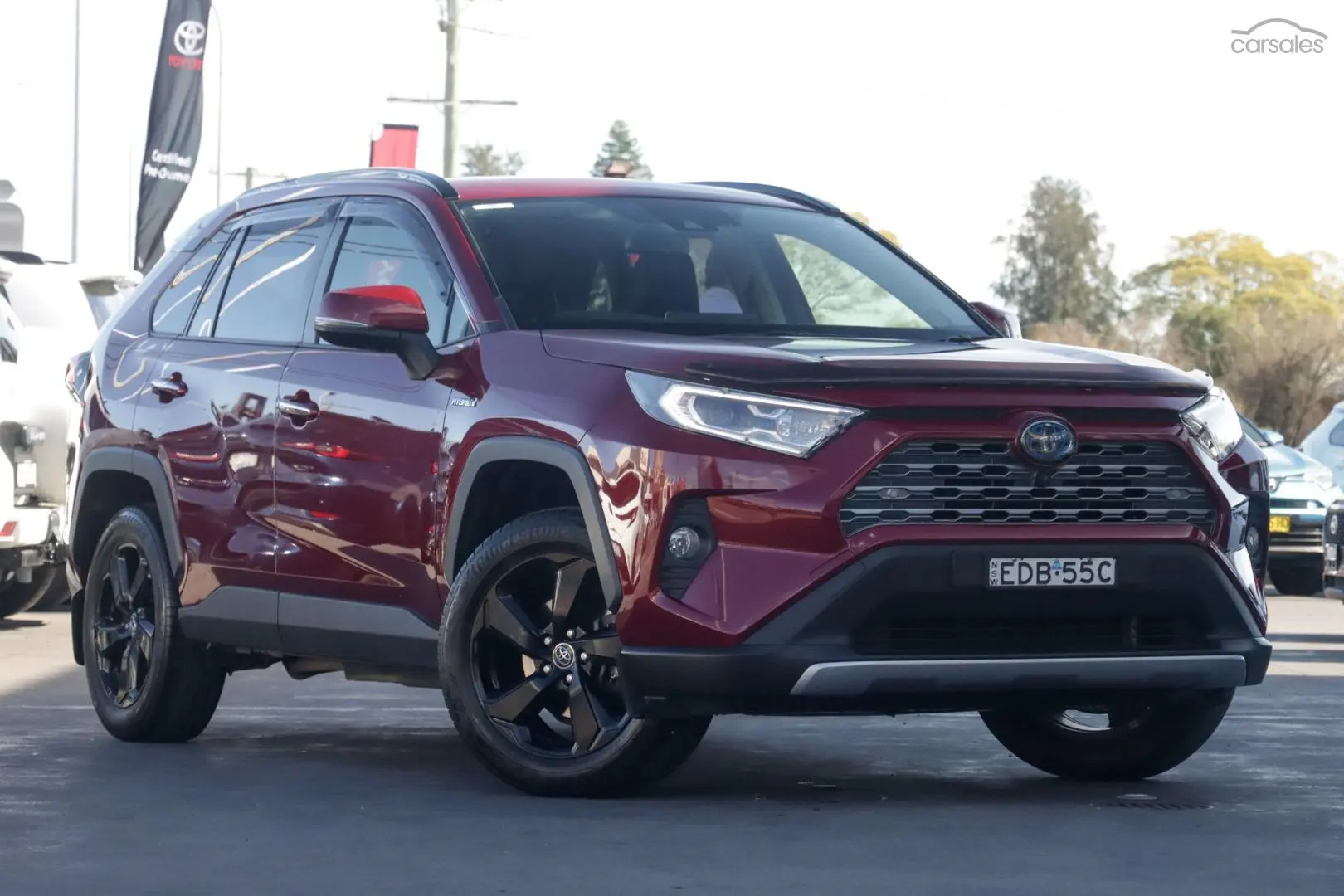 2019 Toyota RAV4 Image 1