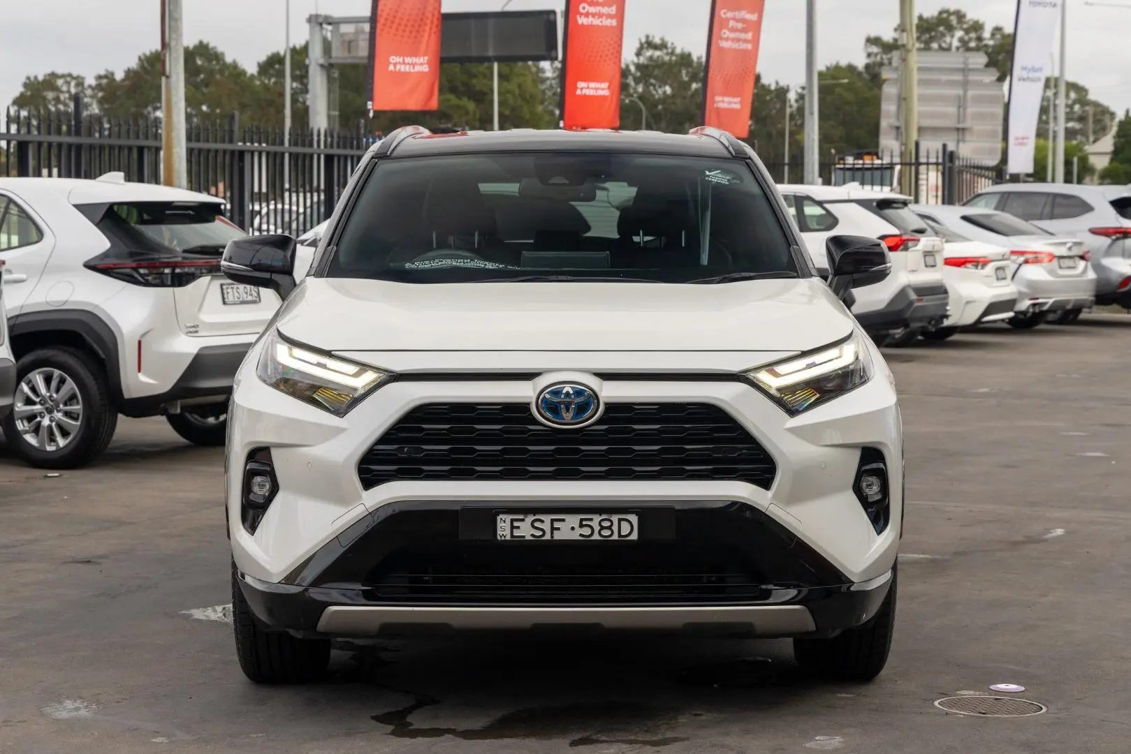 2022 Toyota RAV4 Gallery Image 4