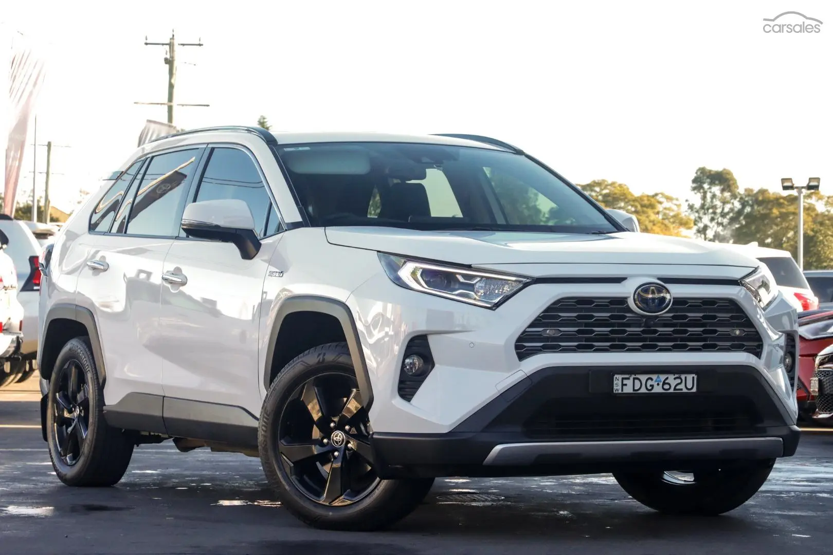 2019 Toyota RAV4 Image 1