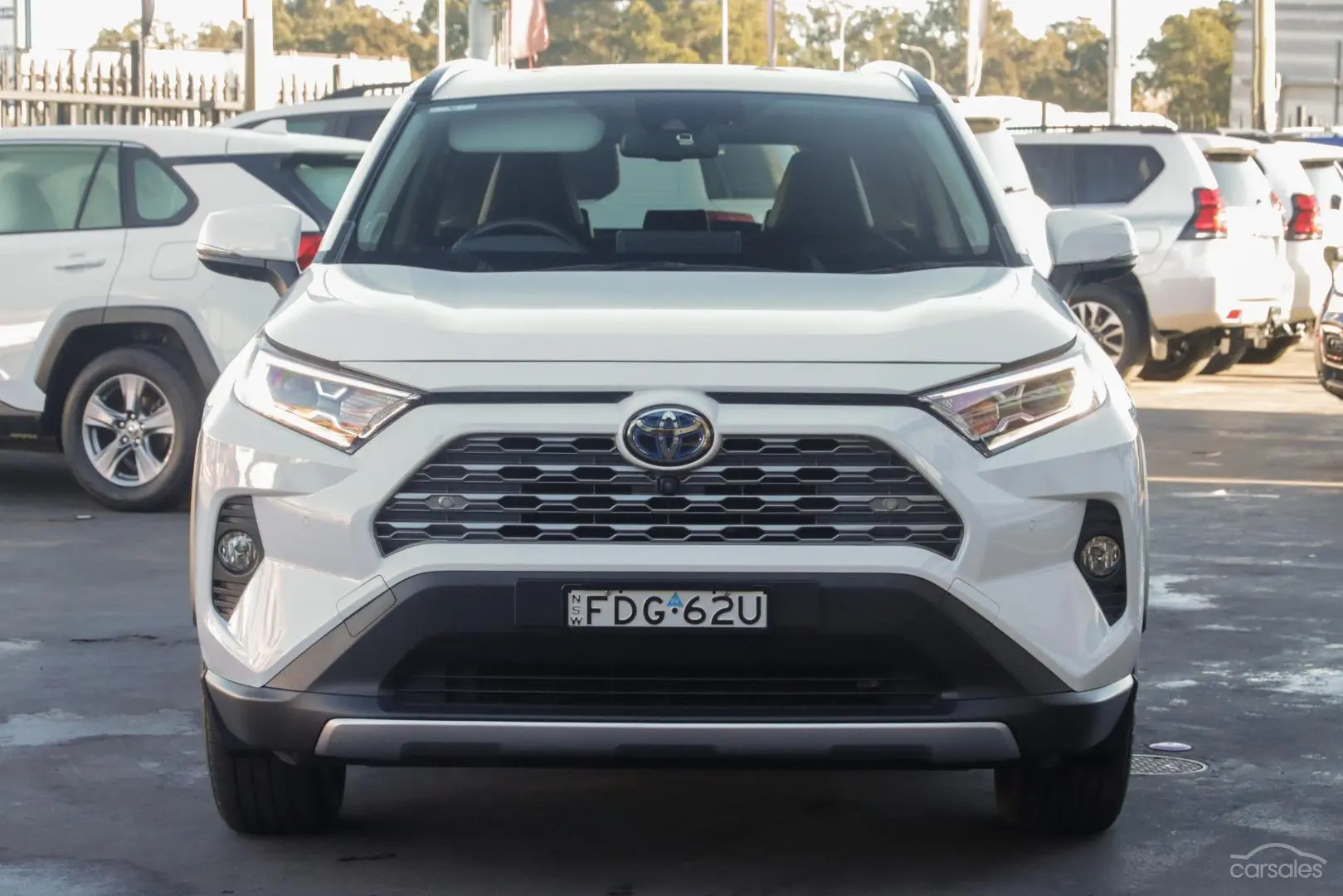 2019 Toyota RAV4 Image 4