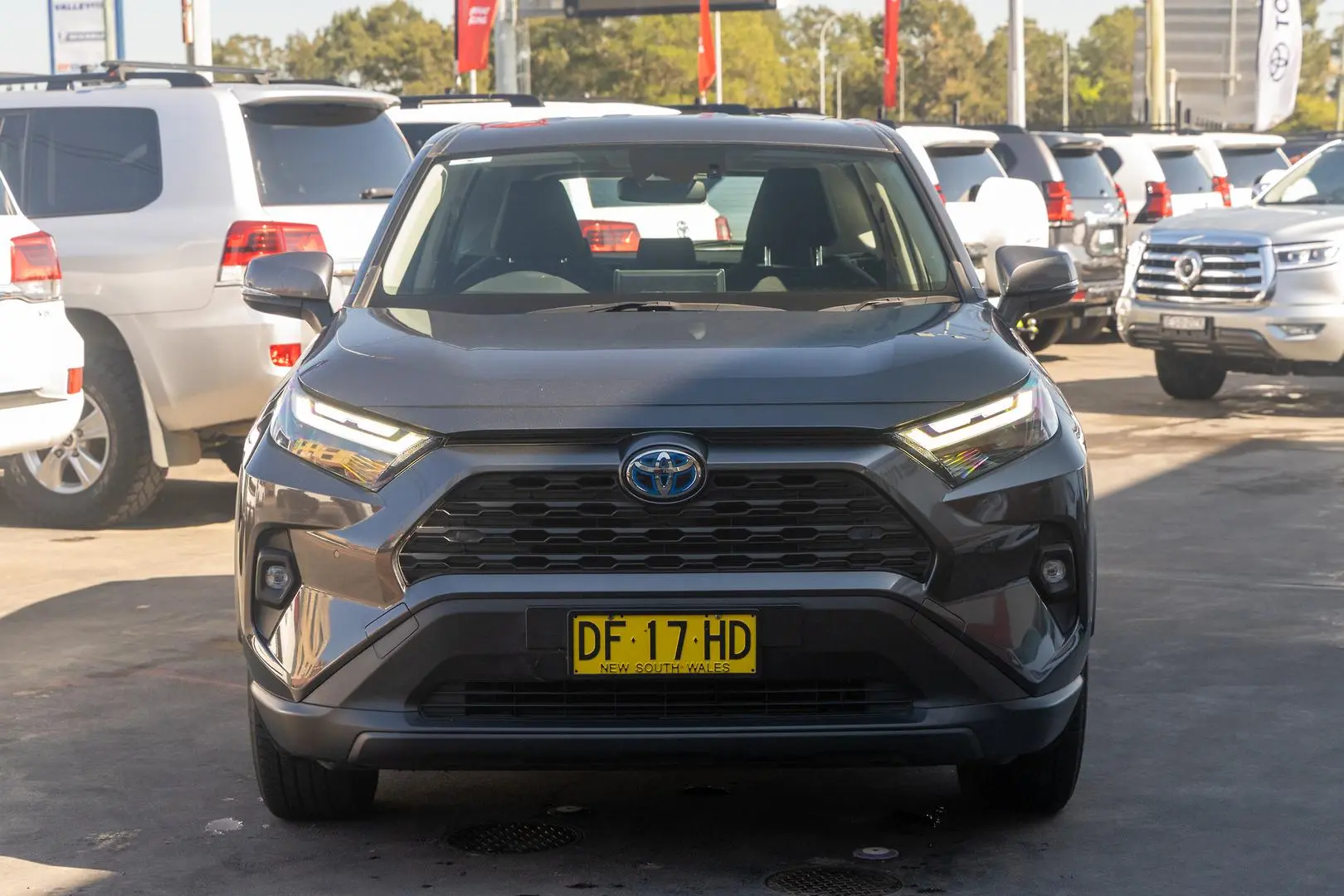 2022 Toyota RAV4 Gallery Image 4