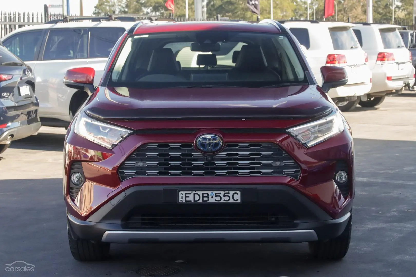 2019 Toyota RAV4 Image 4