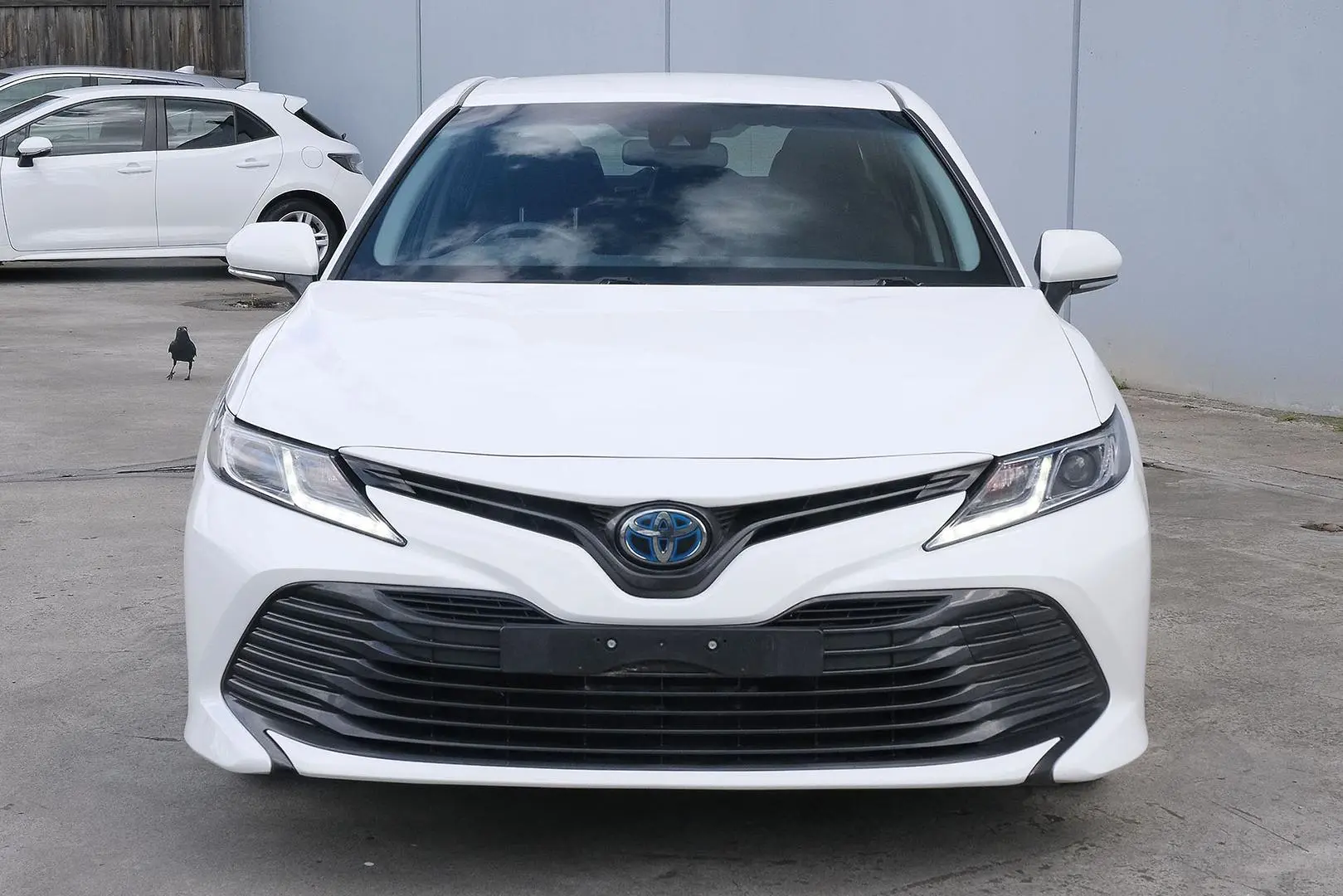 2020 Toyota Camry Gallery Image 3