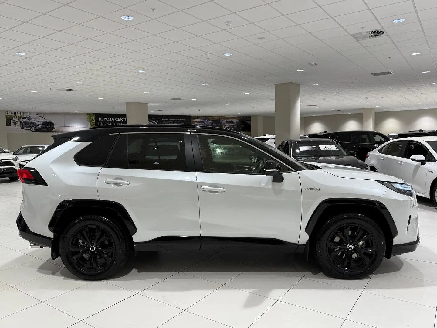2024 Toyota RAV4 Gallery Image 2