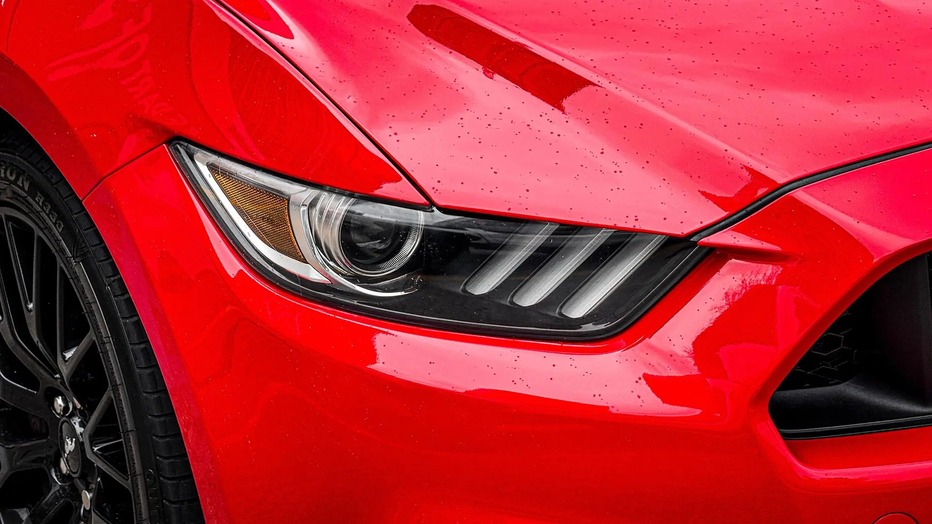 2016 Ford Mustang Image 14