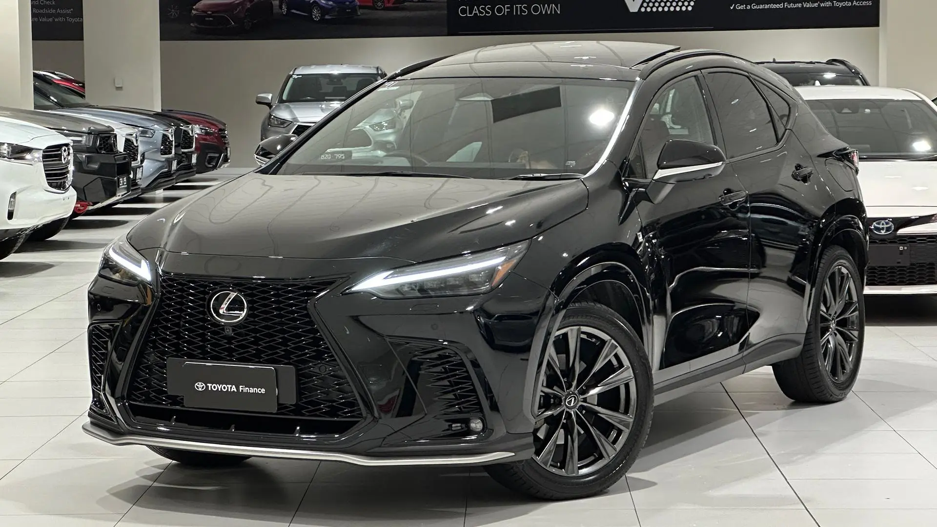 2024 Lexus NX Gallery Image 5