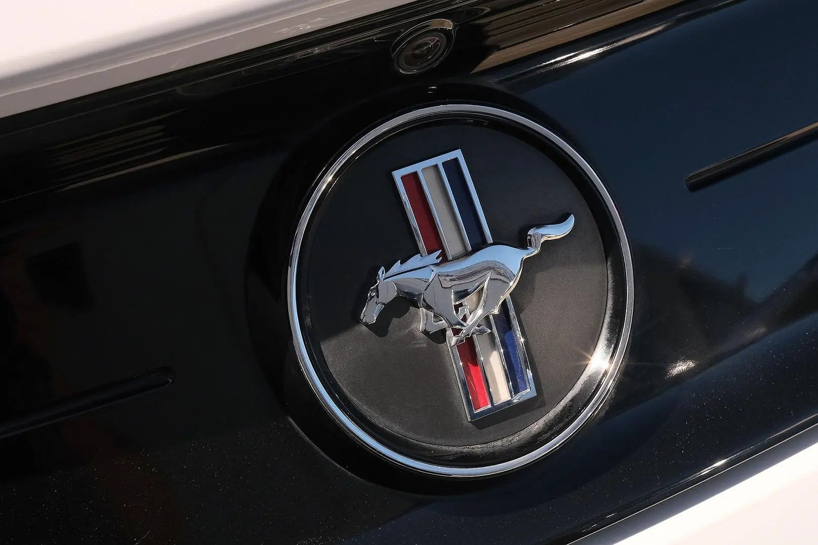 2021 Ford Mustang Gallery Image 20