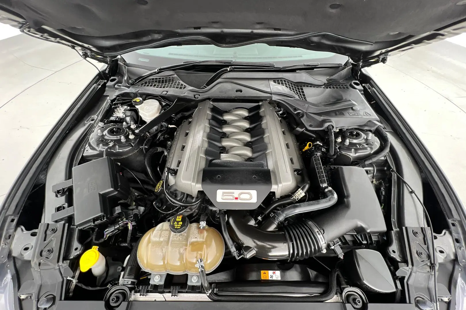 2017 Ford Mustang Gallery Image 22