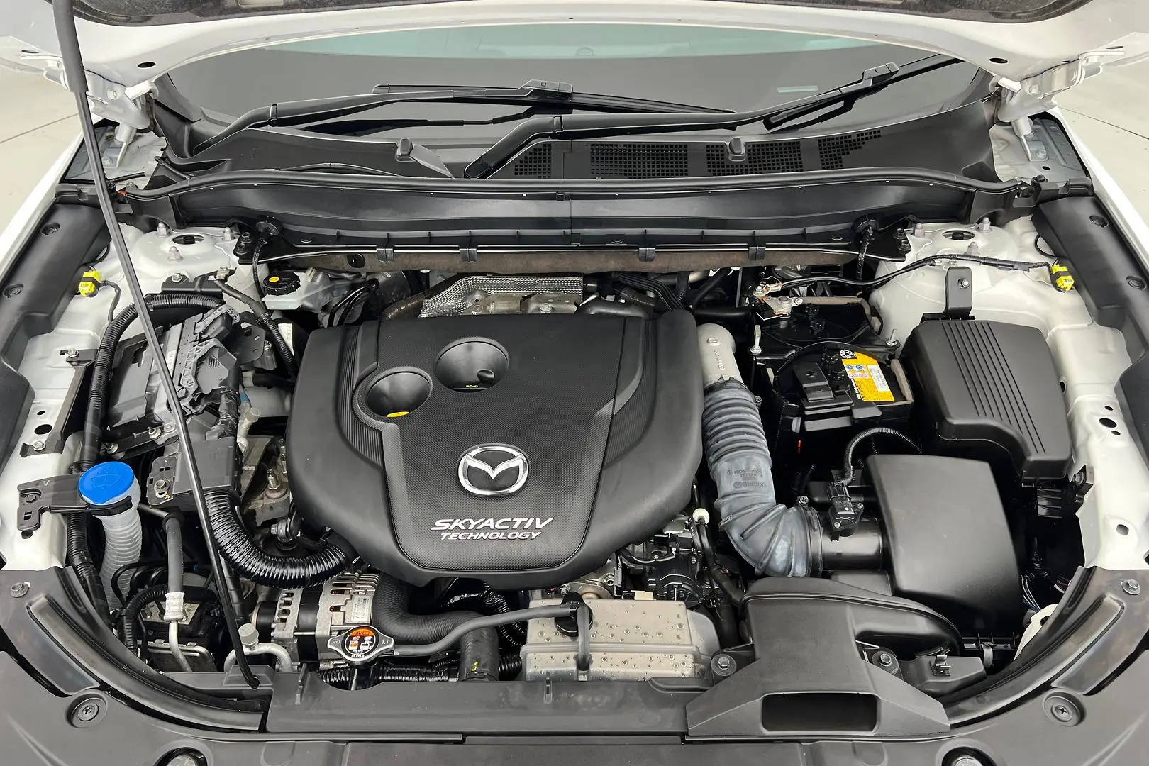 2019 Mazda CX-8 Gallery Image 24