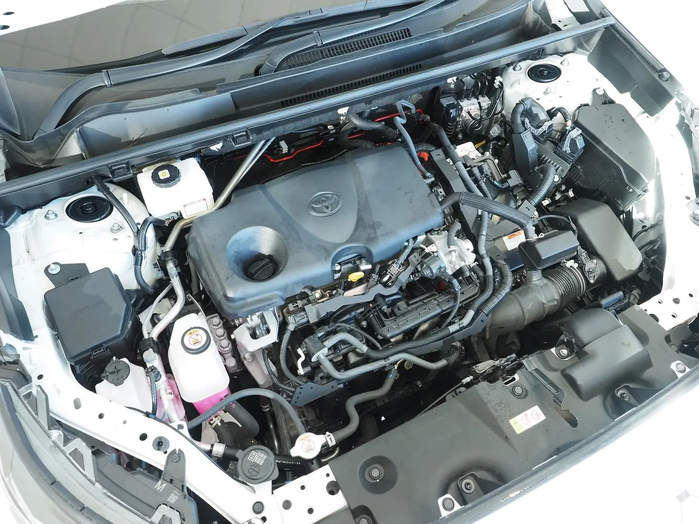 2024 Toyota RAV4 Gallery Image 5