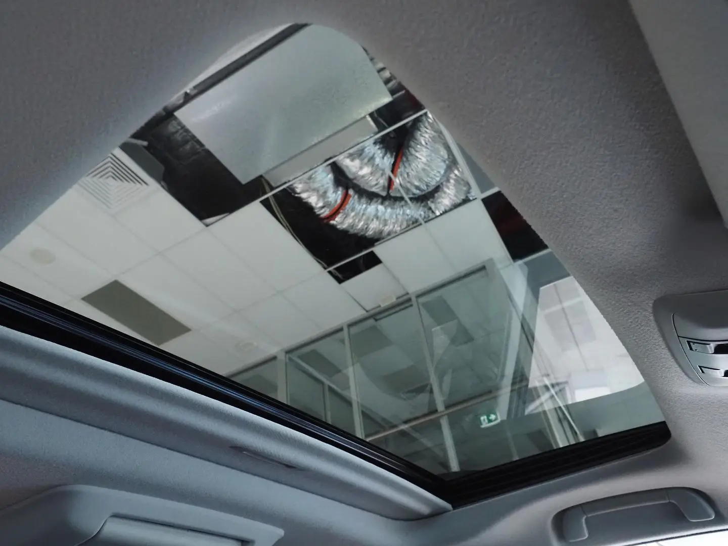2021 Toyota Landcruiser Prado Gallery Image 37