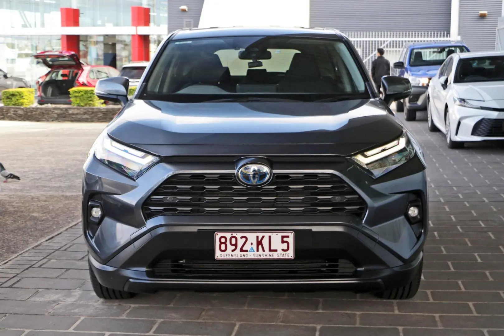 2024 Toyota RAV4 Gallery Image 4