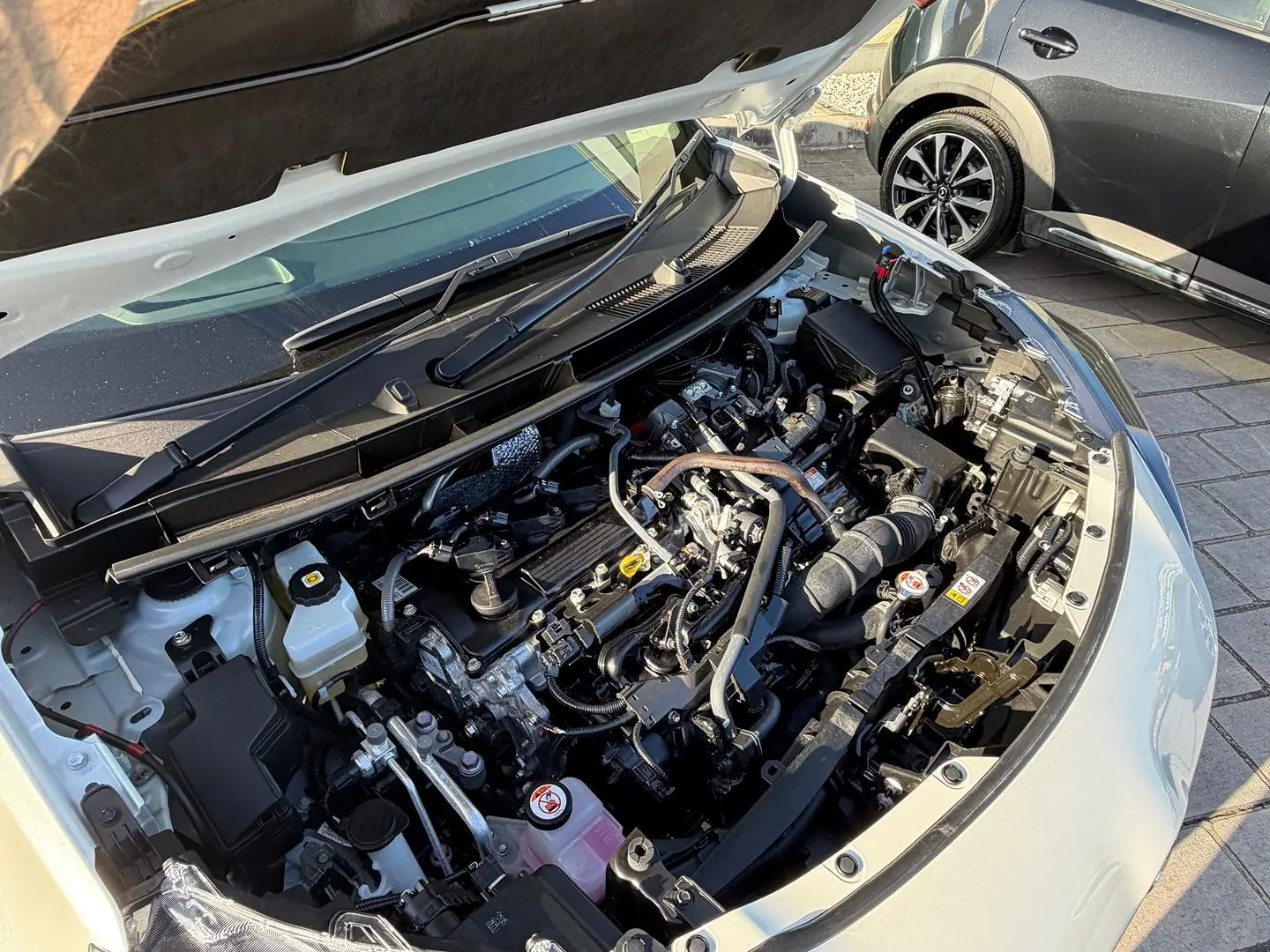 2024 Toyota Yaris Cross Gallery Image 5