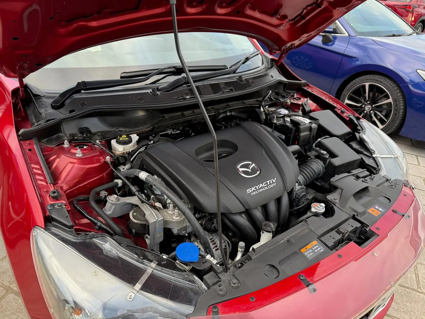 2015 Mazda 2 Gallery Image 5