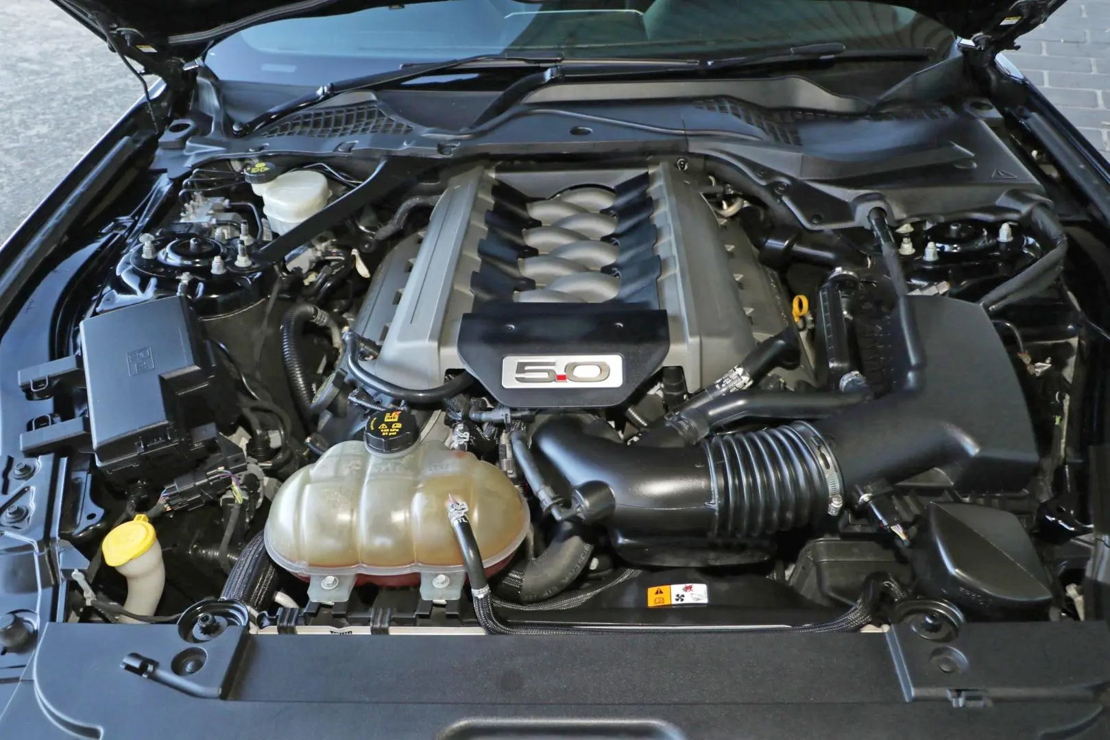 2017 Ford Mustang Gallery Image 10